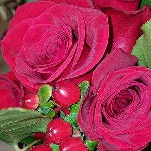 Meet your Posher, Martha